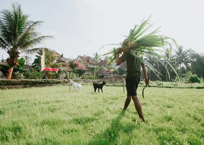 مزرعة للإقامة The Rice Joglo Eco-stay